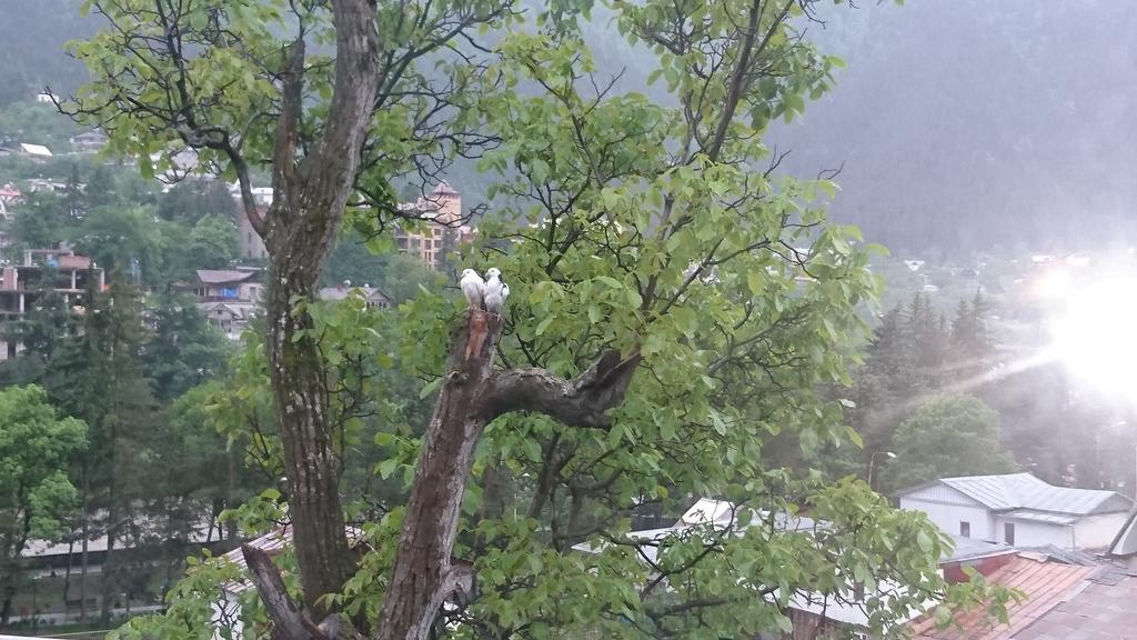 Rachvela'S Guest House Borjomi Bagian luar foto