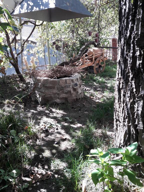 Rachvela'S Guest House Borjomi Bagian luar foto