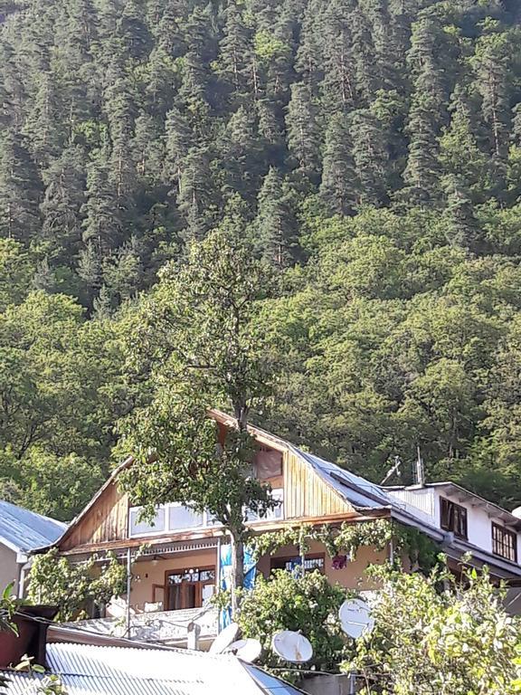 Rachvela'S Guest House Borjomi Bagian luar foto