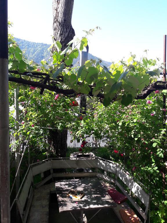Rachvela'S Guest House Borjomi Bagian luar foto
