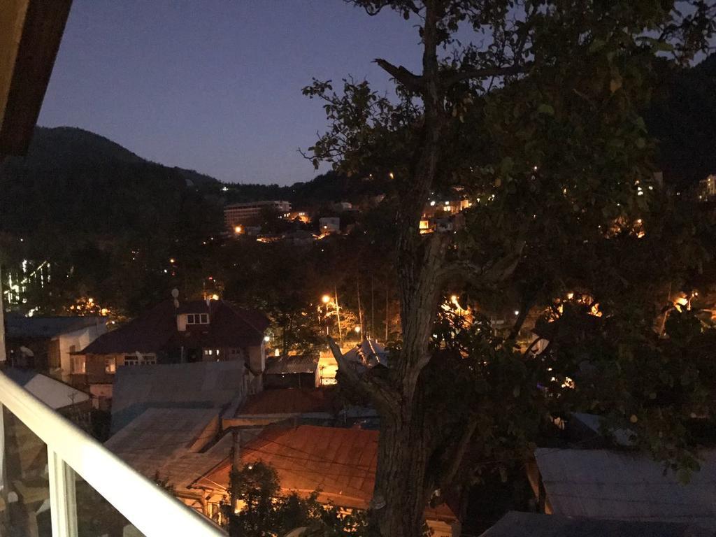 Rachvela'S Guest House Borjomi Bagian luar foto