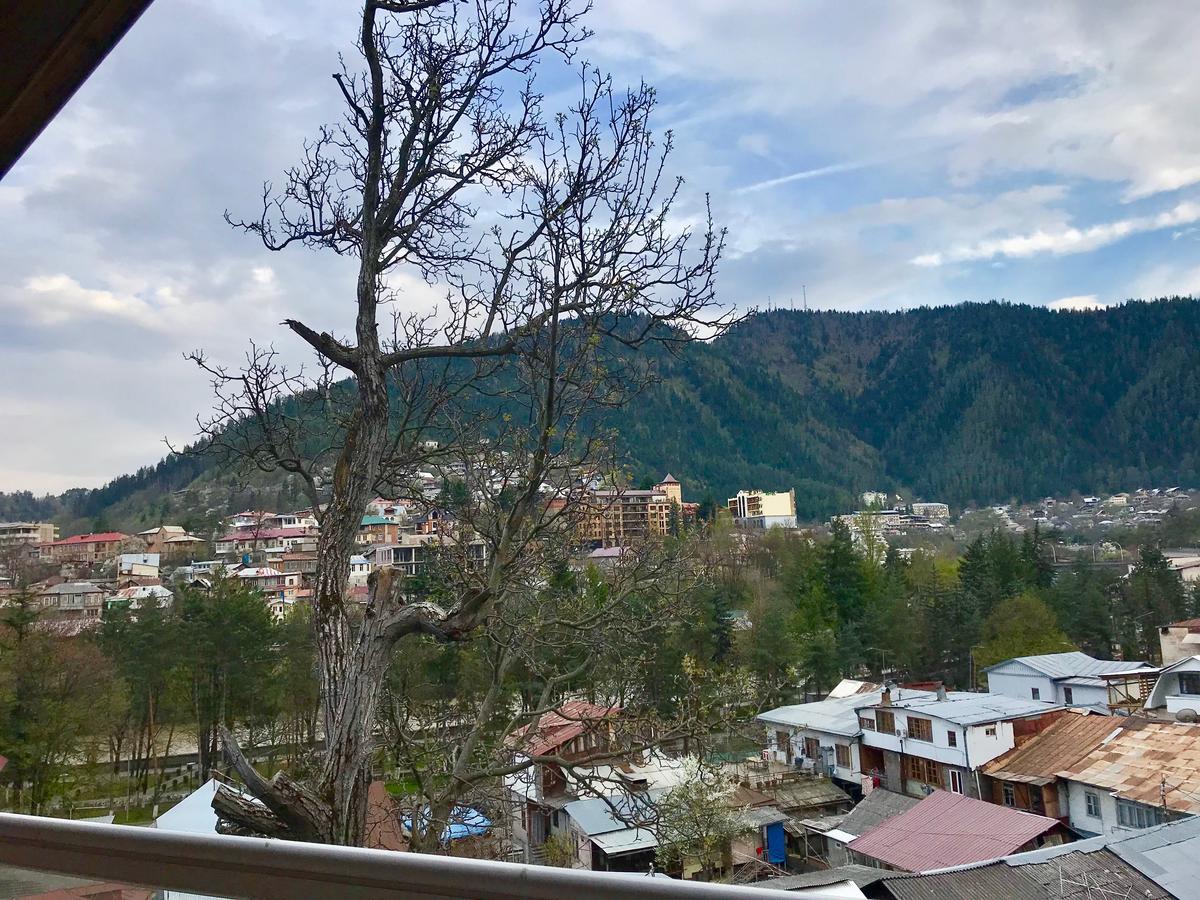Rachvela'S Guest House Borjomi Bagian luar foto